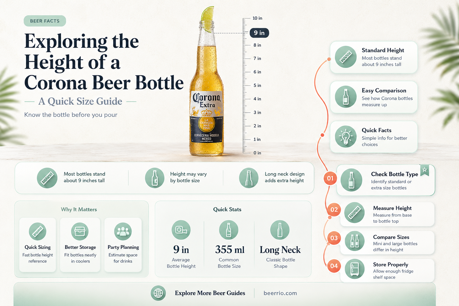 how tall is a corona beer bottle