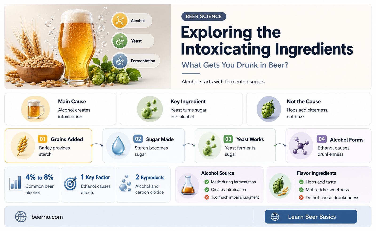 what gets you drunk in beer