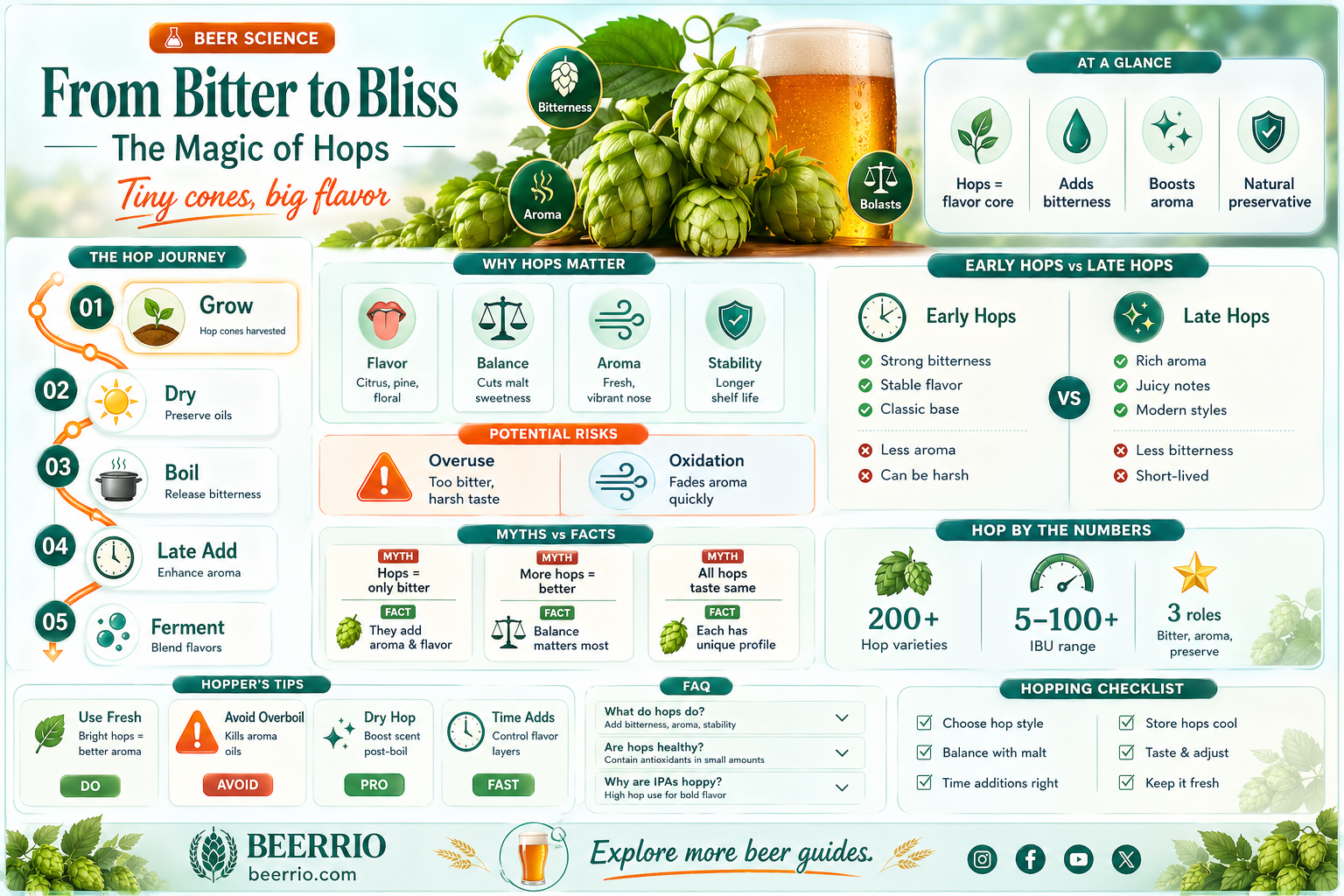 what do hops do for beer
