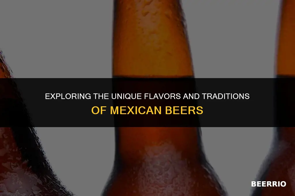 how are mexican beers different