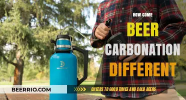 Exploring the Bubbly World: Why Beer Carbonation Varies