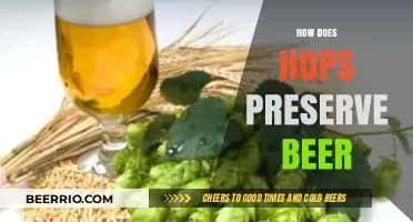 The Magic of Hops: Nature's Preservative in Your Beer