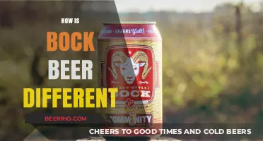 Exploring the Rich Flavors: How Bock Beer Stands Out