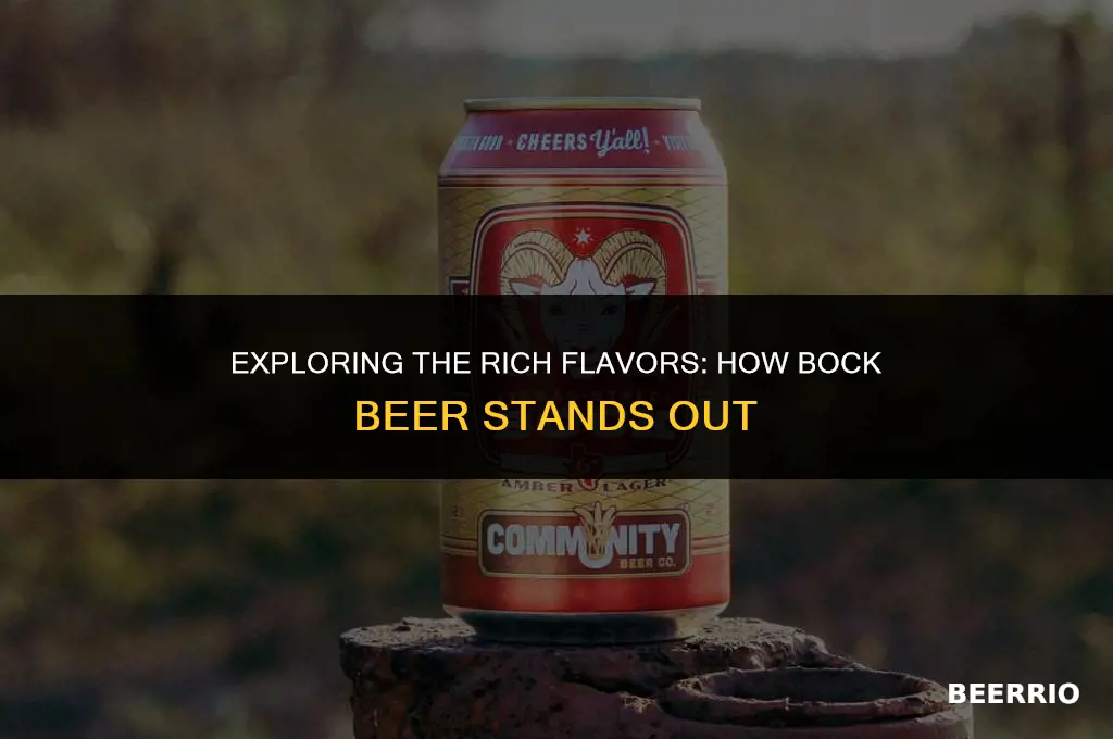 how is bock beer different