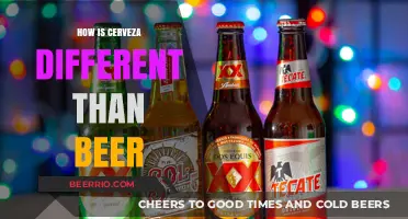 Exploring the Unique Flavors: Cerveza vs. Beer Comparison