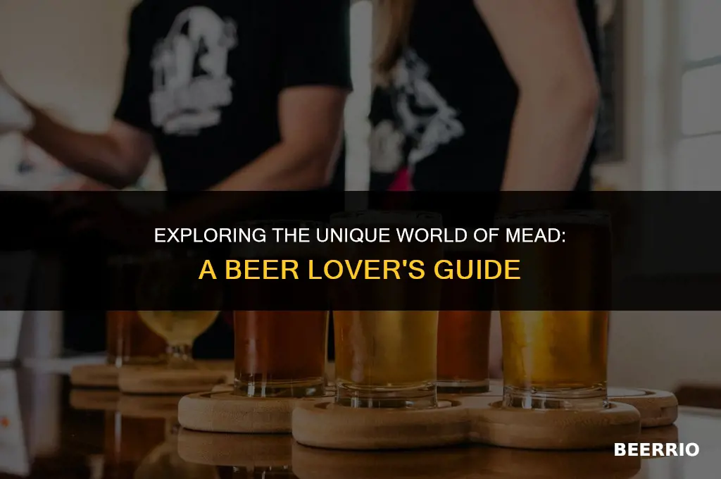 how is mead different from beer