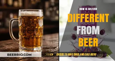 Fizzing Facts: Unveiling the Key Differences Between Seltzer and Beer