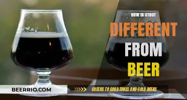 Exploring the Rich World of Stouts: A Beer Lover's Guide