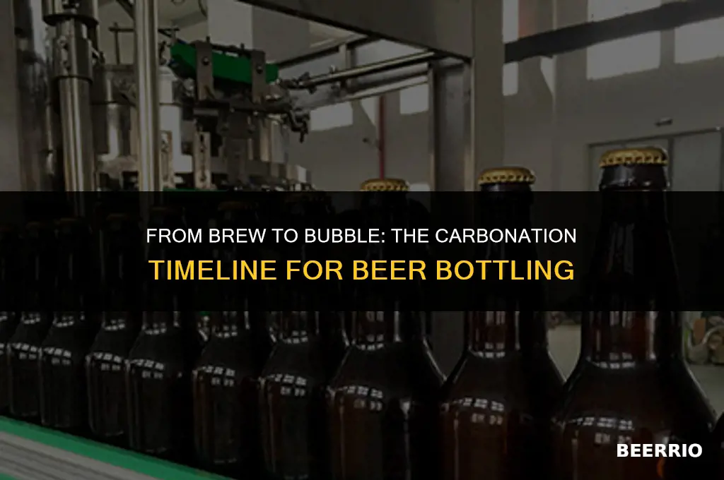 how long does it take to bottle carbonate beer