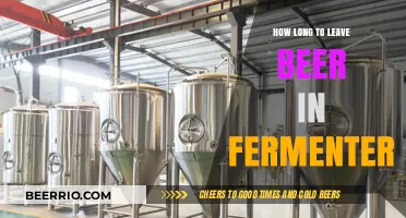 Perfecting the Brew: Optimal Fermentation Time for Beer