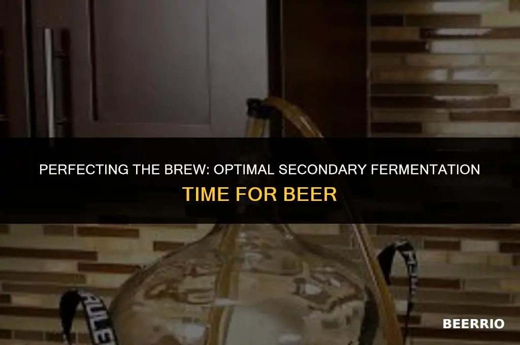 how long to leave beer in secondary fermenter