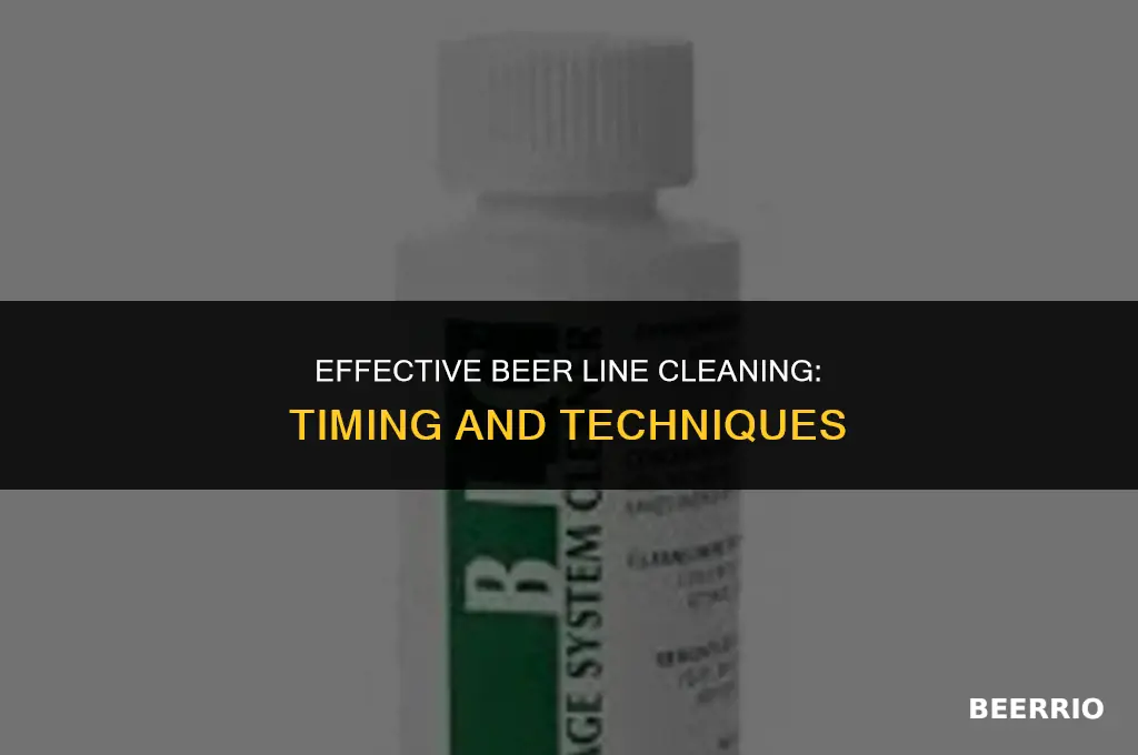 how long to leave beer line cleaner