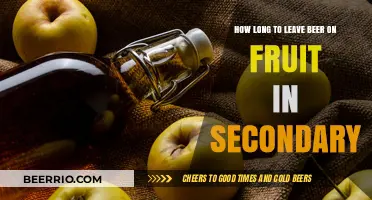 Optimizing Flavor: The Perfect Timing for Beer-Infused Fruit in Secondary Fermentation