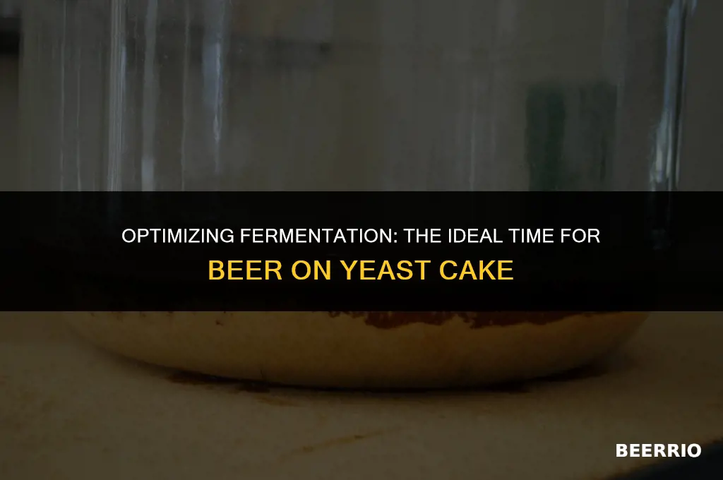 how long to leave beer on yeast cake