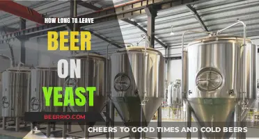 Fermentation Patience: The Optimal Yeast Contact Time for Beer