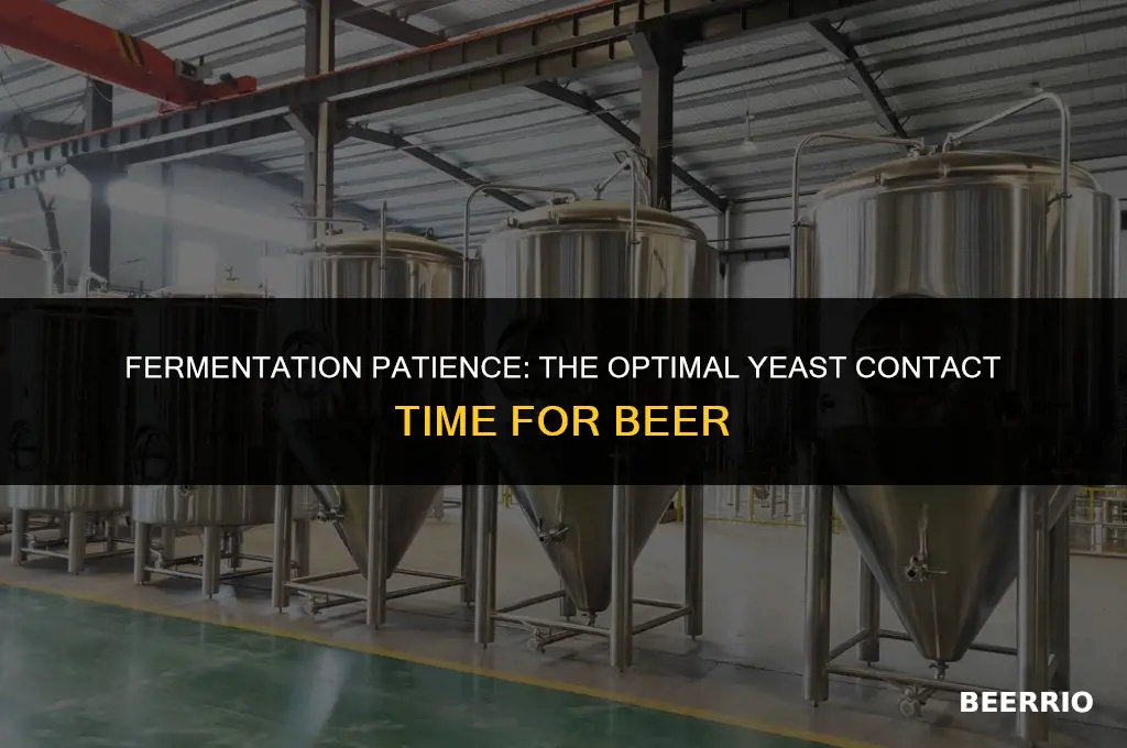 how long to leave beer on yeast