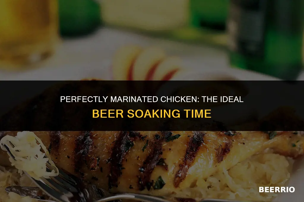 how long to leave chicken marinated in beer