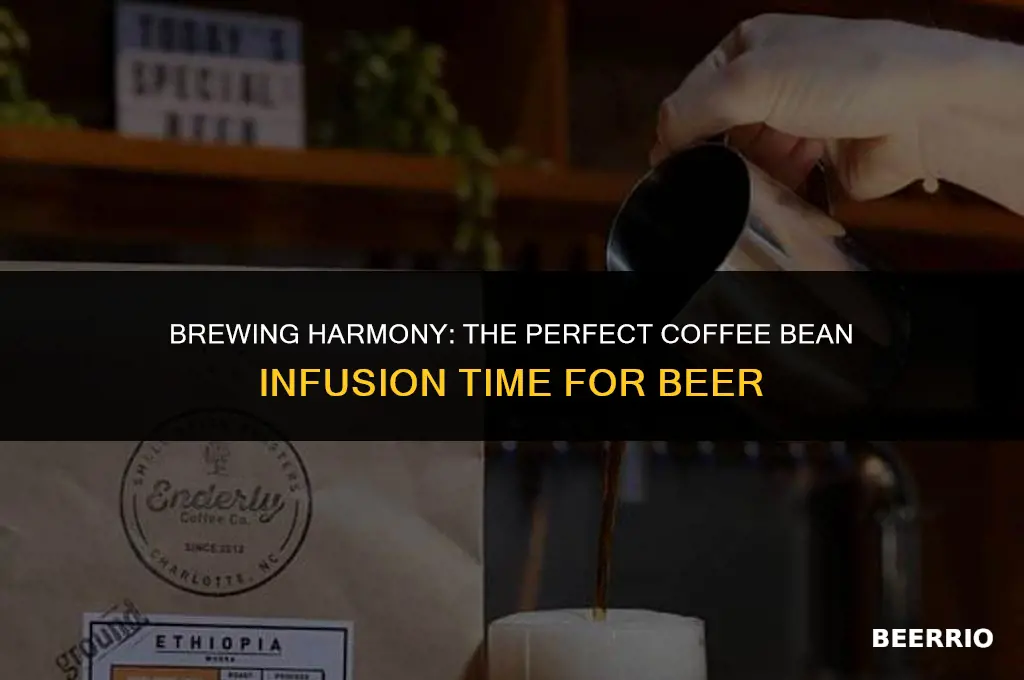 how long to leave coffee beans in beer