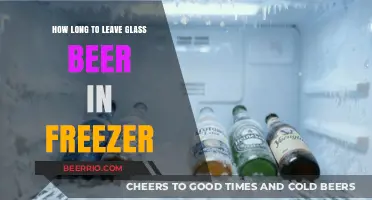 Chill Time: Optimal Freezing Duration for Glass Beer Bottles