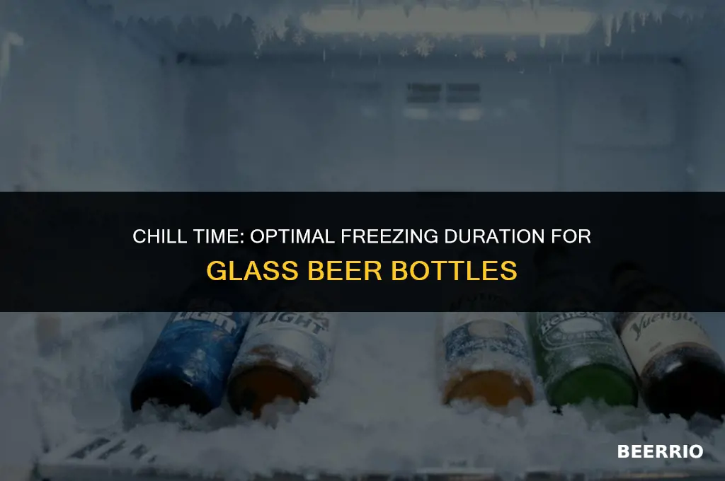 how long to leave glass beer in freezer