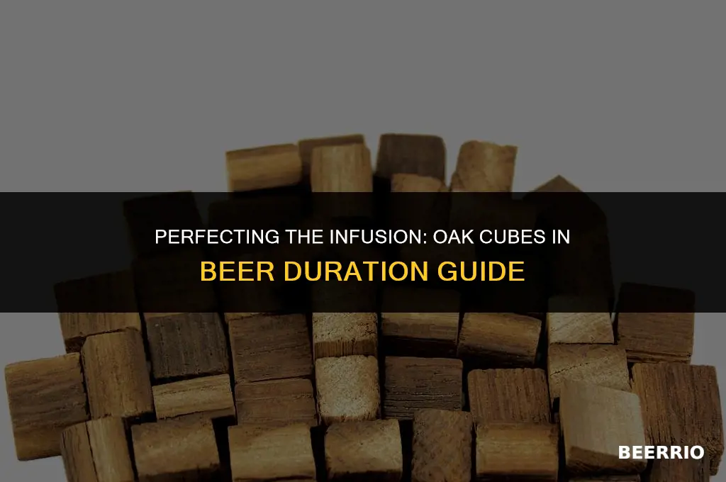 how long to leave oak cubes in beer