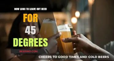 Perfect Pour: How Long to Let Beer Breathe at 45 Degrees