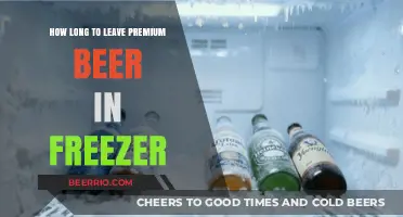 Chill Time: Optimal Freezing Duration for Premium Beer