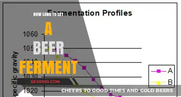Mastering Fermentation: The Optimal Time for Perfect Beer
