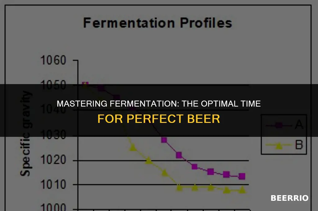 how long to let a beer ferment