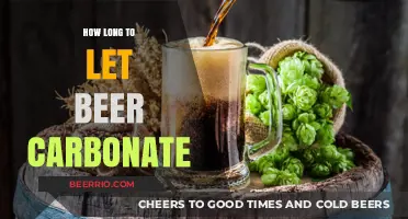 Mastering the Art of Beer Carbonation: A Comprehensive Guide