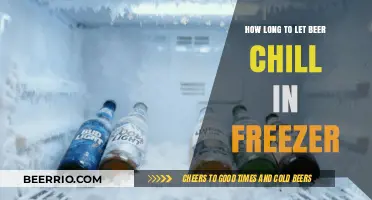 Chill Vibes: The Ultimate Guide to Freezing Your Beer