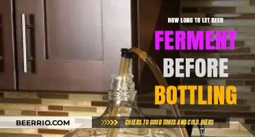 Mastering the Art of Fermentation: When to Bottle Your Beer