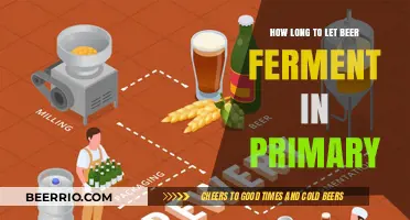 Primary Fermentation: The Optimal Time for Your Beer to Mature