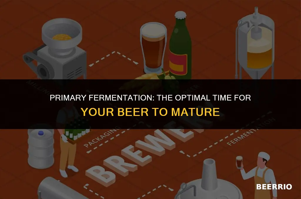 how long to let beer ferment in primary