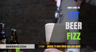 Mastering the Perfect Pour: How Long to Let Beer Fizz?