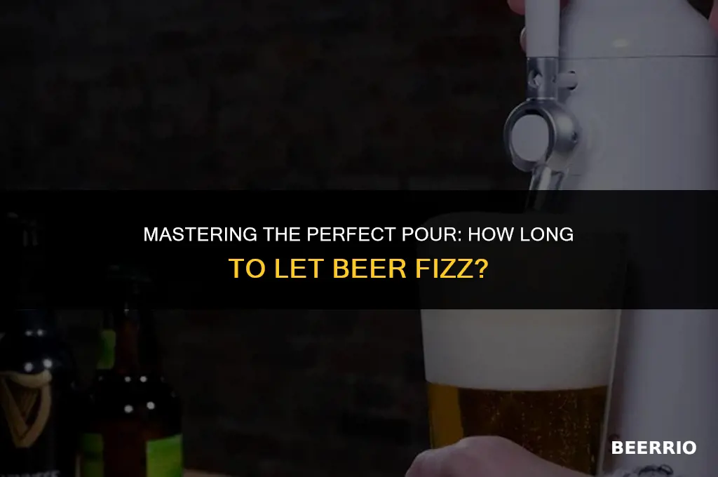 how long to let beer fizz
