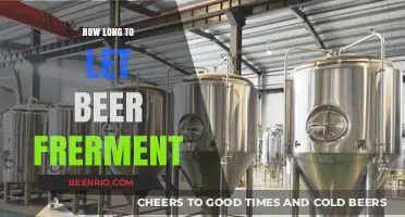 Mastering the Art of Beer Fermentation: A Time-Based Guide