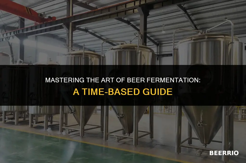 how long to let beer frerment