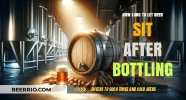 Perfecting Patience: The Art of Aging Homebrewed Beer