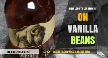 Infusing Flavor: The Perfect Timing for Vanilla Beans in Beer