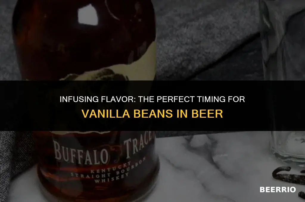 how long to let beer sit on vanilla beans