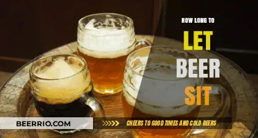Perfect Pour: Mastering the Art of Beer Resting Time