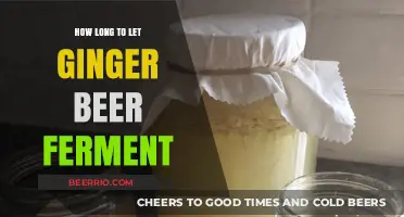 The Art of Patience: Perfecting Ginger Beer Fermentation Time