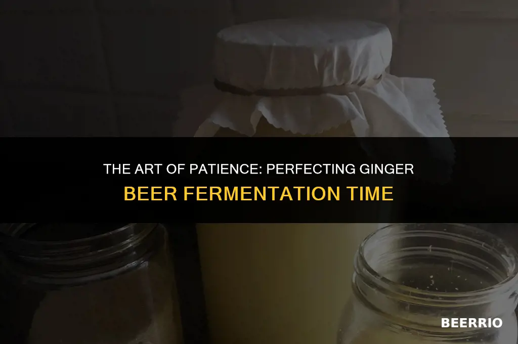 how long to let ginger beer ferment