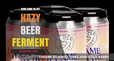 Unlocking the Perfect Brew: A Guide to Fermenting Hazy Beer