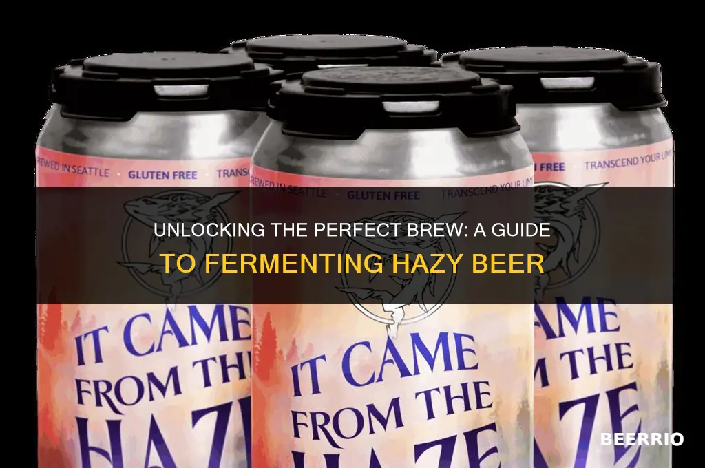 how long to let hazy beer ferment