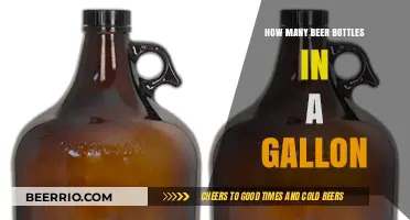 Gallon of Brews: How Many Beer Bottles Fit In?