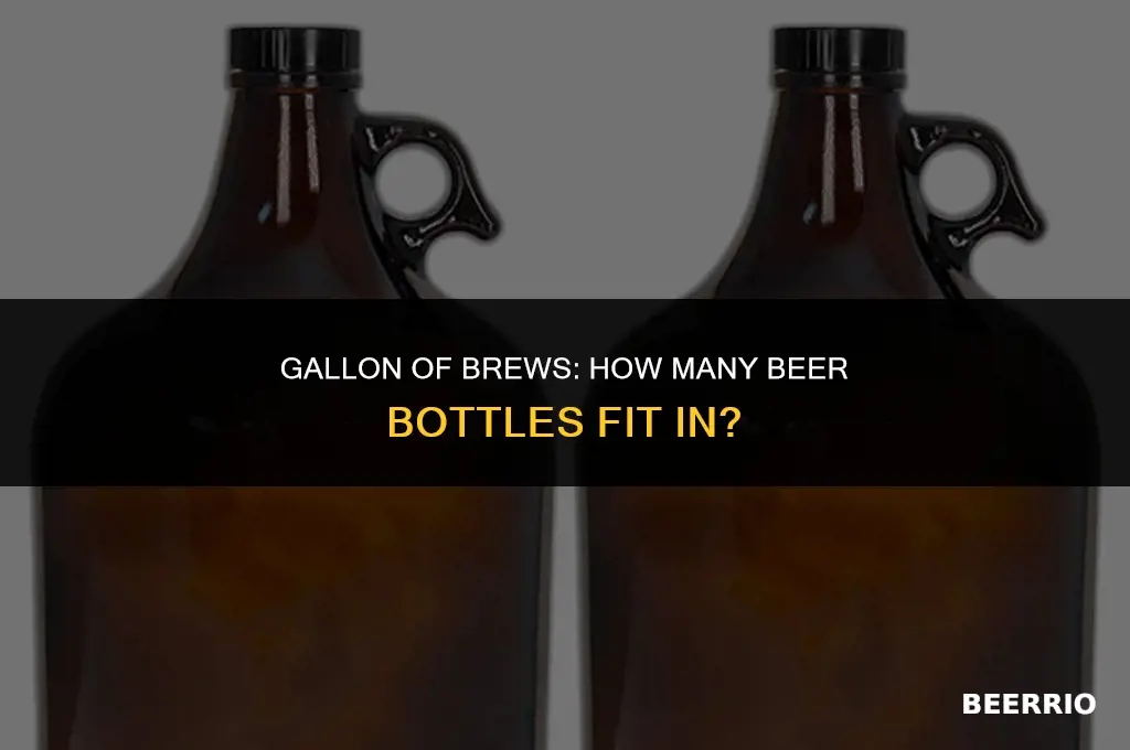 how many beer bottles in a gallon