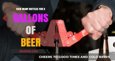 From Brews to Bottles: A Guide to Filling 5 Gallons of Beer