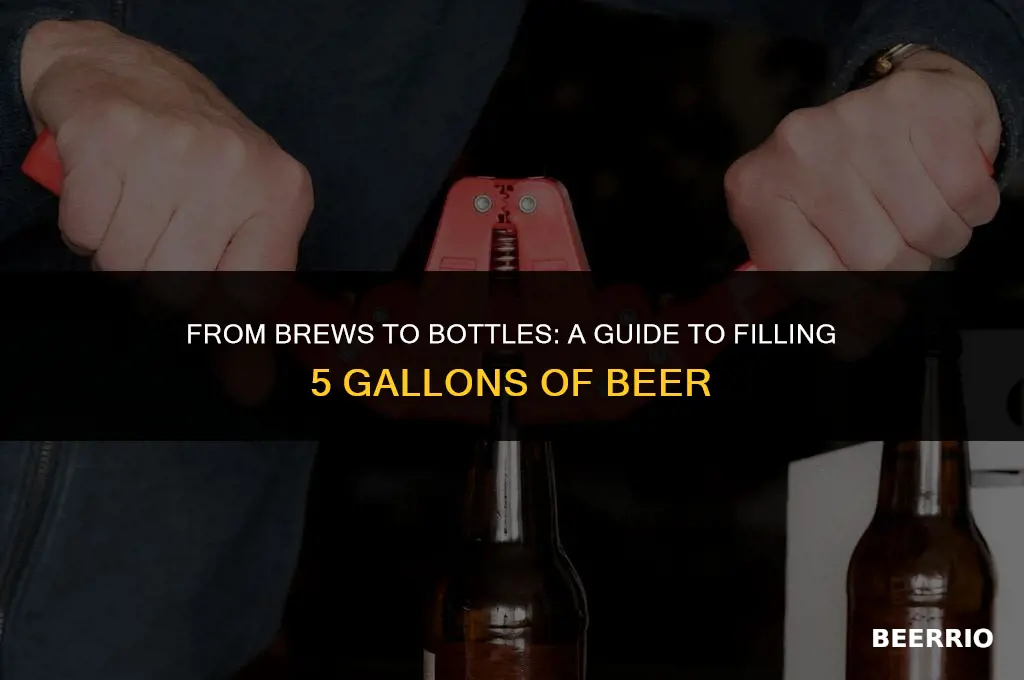 how many bottles for 5 gallons of beer